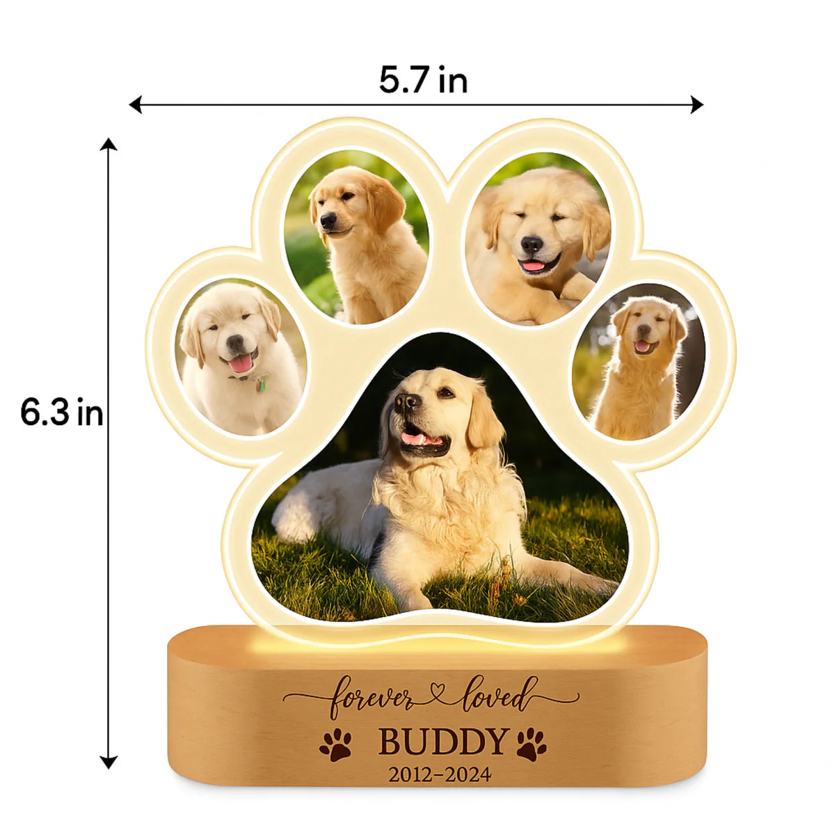 MemoPaw™ Personalized Pet Paw Lamp